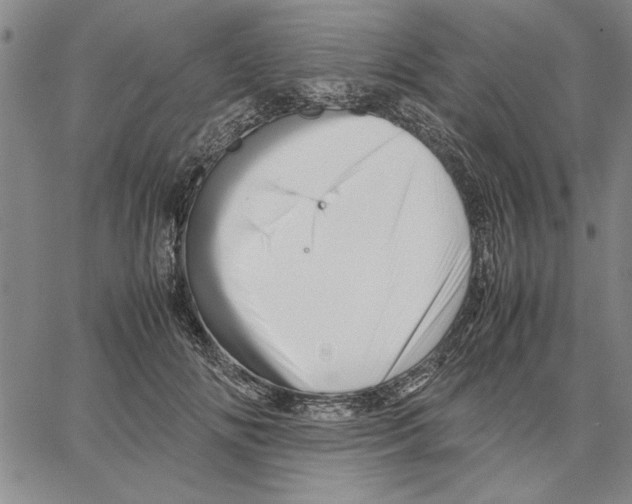 X0000066080702200604071732