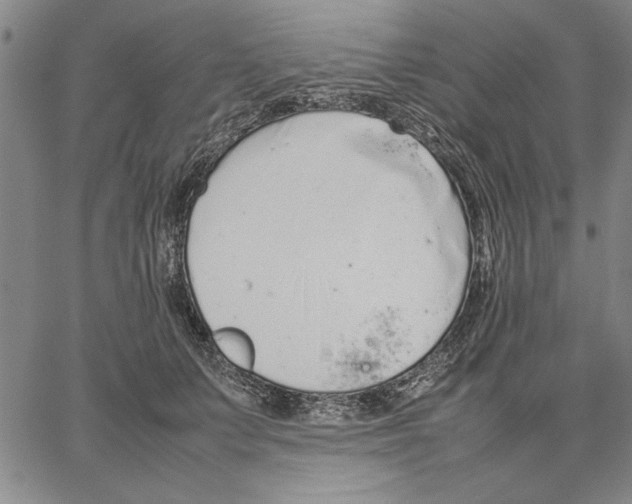 X0000066080703200604071732