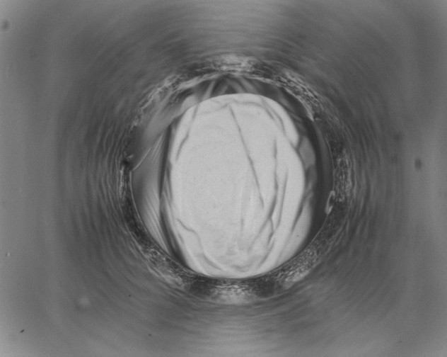 X0000066080704200604071732