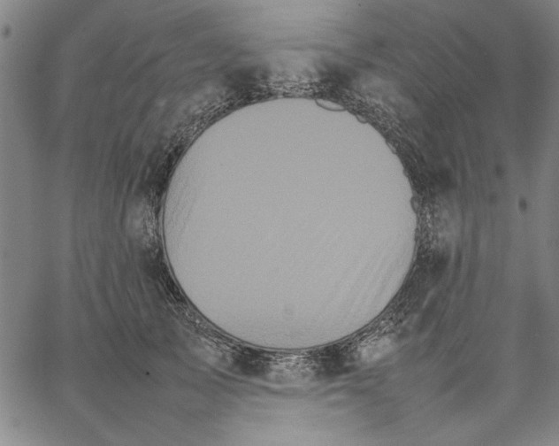 X0000066080705200604071732