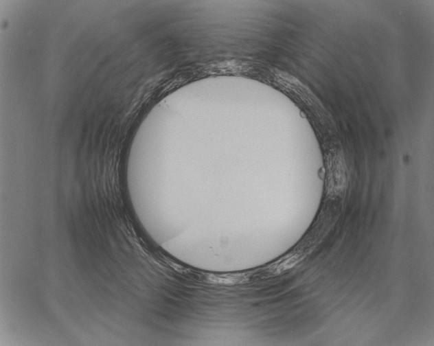 X0000066080706200604071732