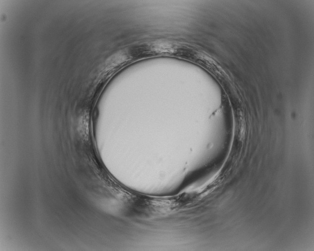 X0000066080707200604071732