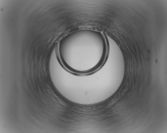 X0000066080708200604071732