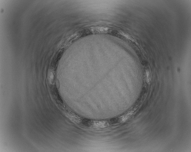 X0000066080709200604071732