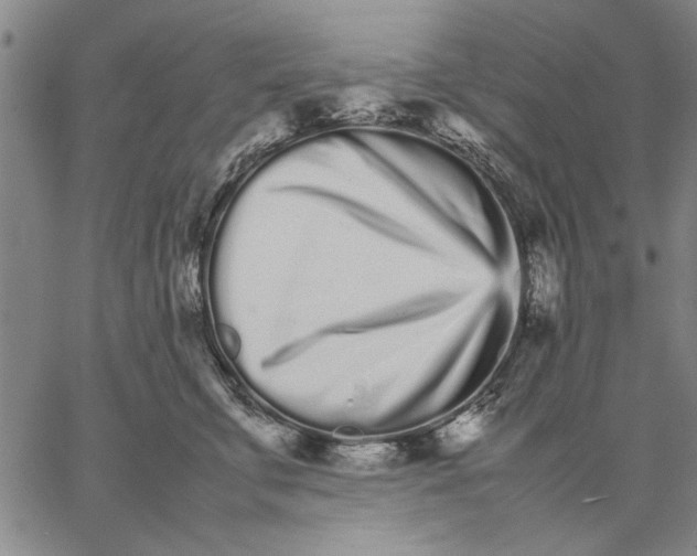 X0000066080711200604071732