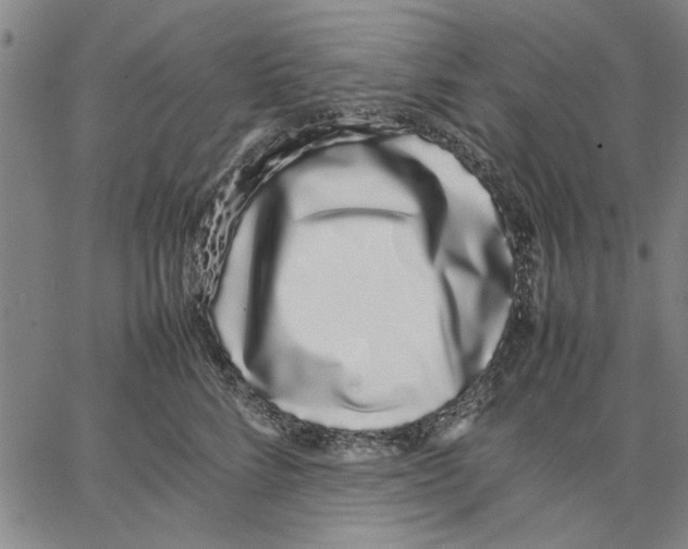 X0000066080712200604071732