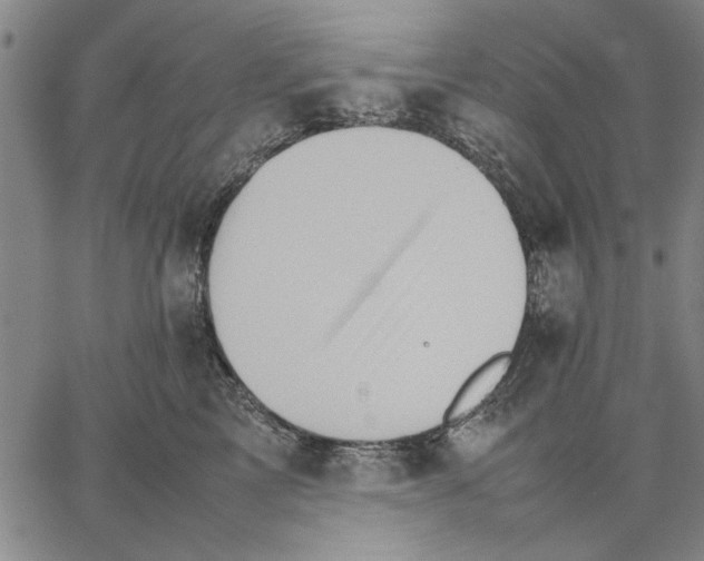 X0000066080713200604071732