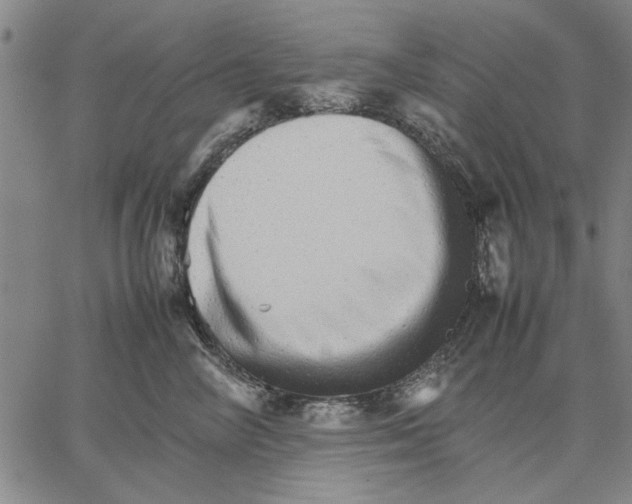 X0000066080714200604071732