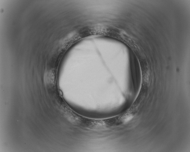 X0000066080715200604071732