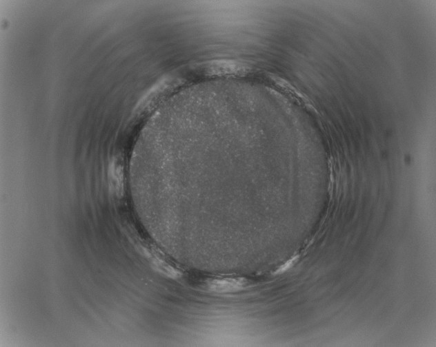 X0000066080716200604071732