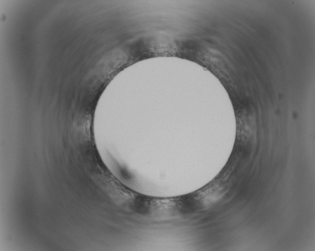 X0000066080717200604071732