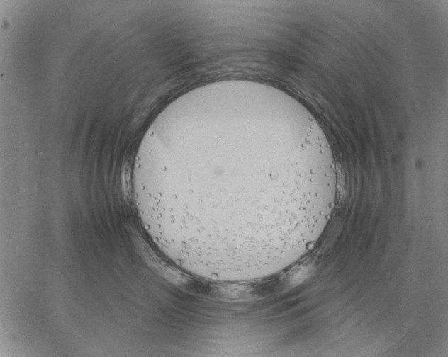 X0000066080718200604071732