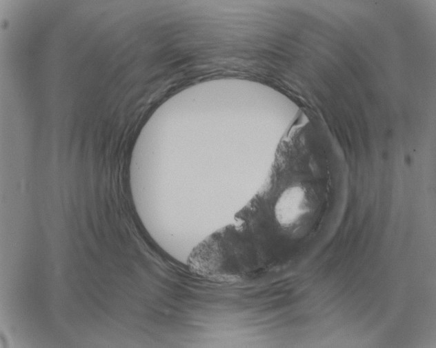 X0000066080719200604071732