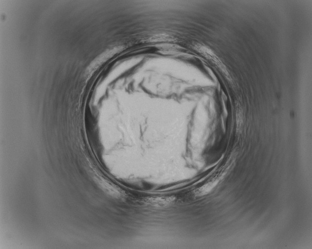 X0000066080721200604071731