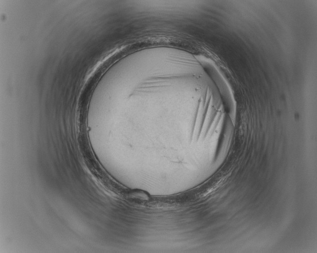 X0000066080722200604071731