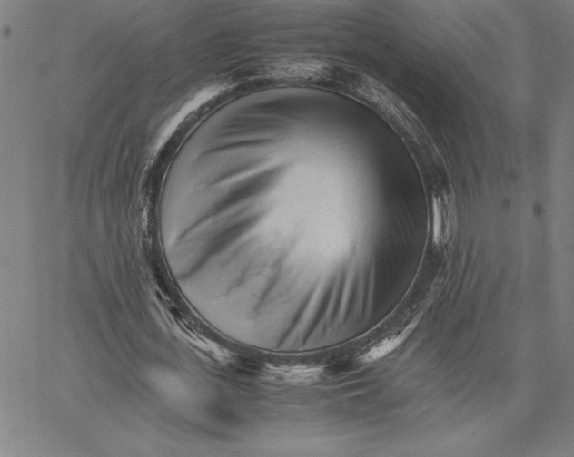 X0000066080723200604071731