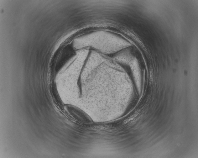 X0000066080724200604071731