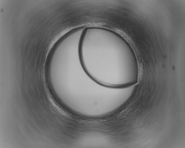 X0000066080726200604071731