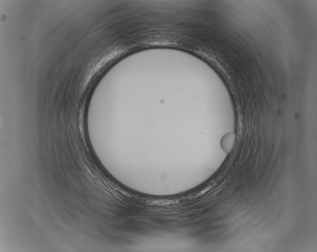 X0000066080727200604071731