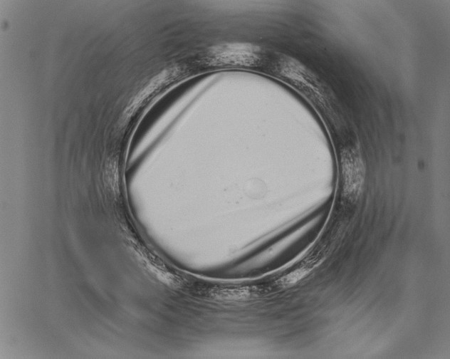 X0000066080729200604071731