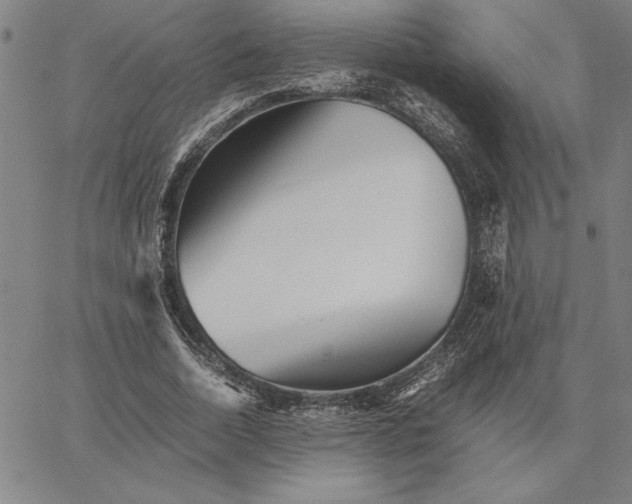 X0000066080730200604071731