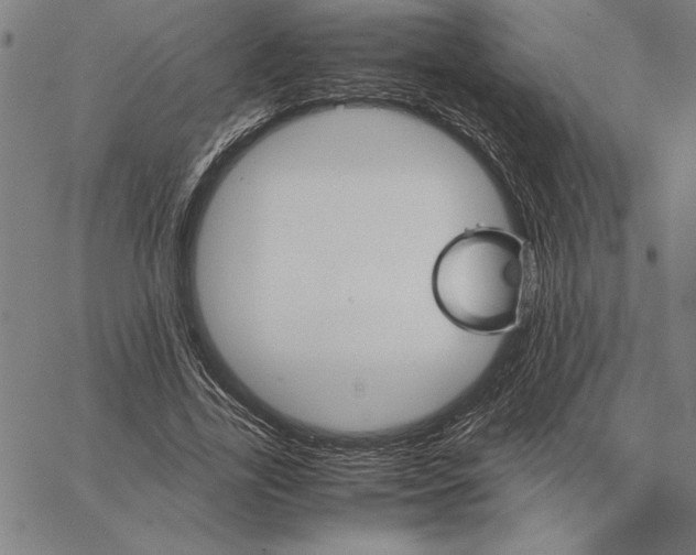 X0000066080731200604071731