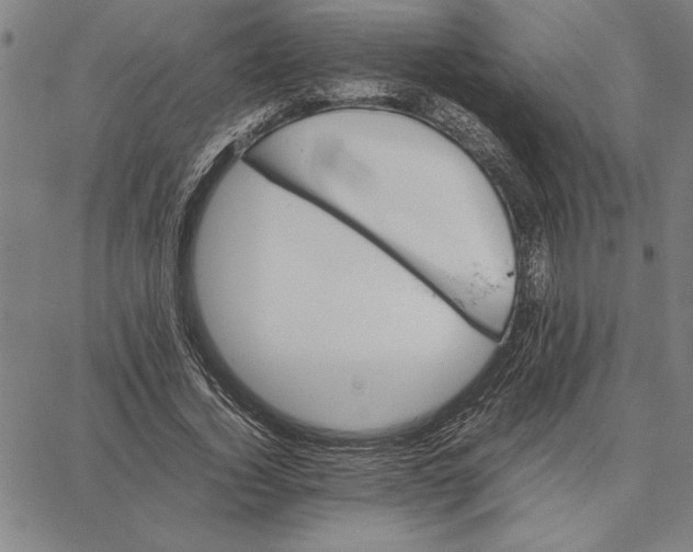 X0000066080732200604071731