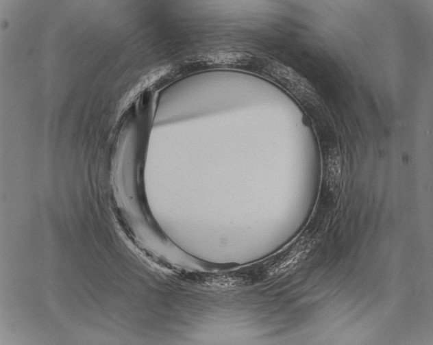 X0000066080734200604071731