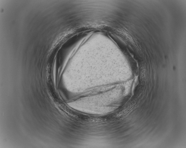 X0000066080736200604071731