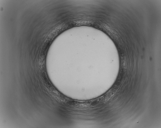 X0000066080737200604071731