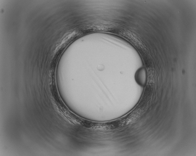 X0000066080738200604071731