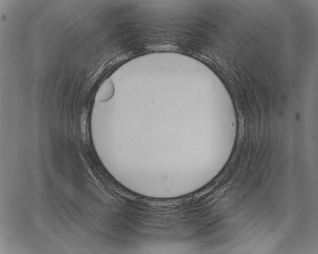 X0000066080739200604071731