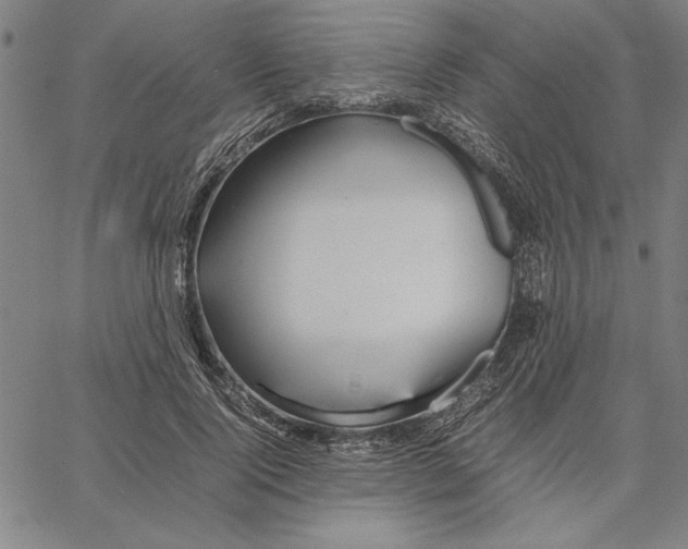 X0000066080740200604071731