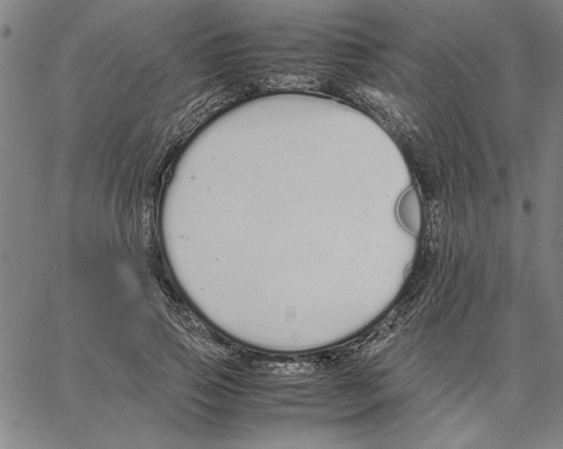 X0000066080741200604071731