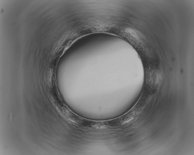 X0000066080742200604071731