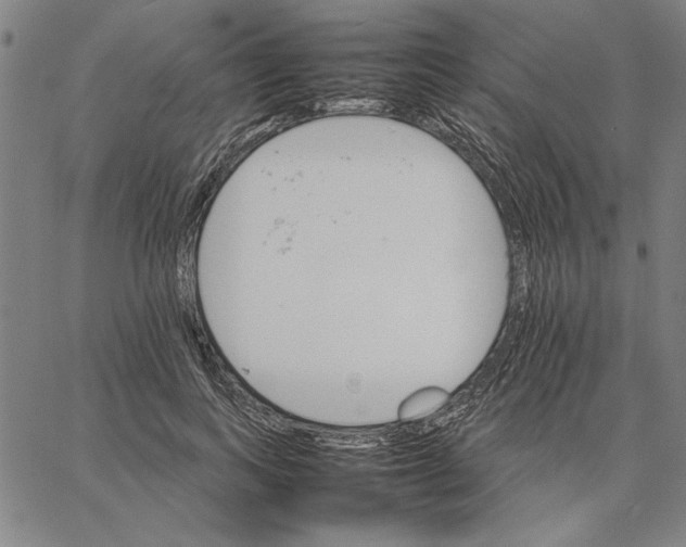 X0000066080743200604071731