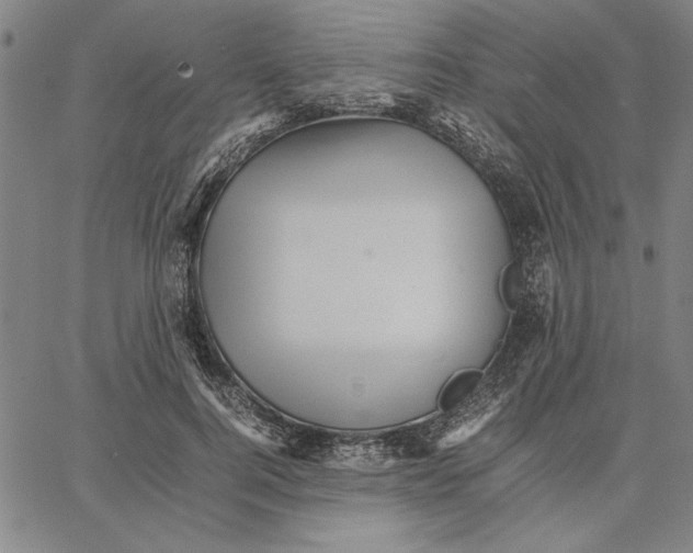 X0000066080744200604071731