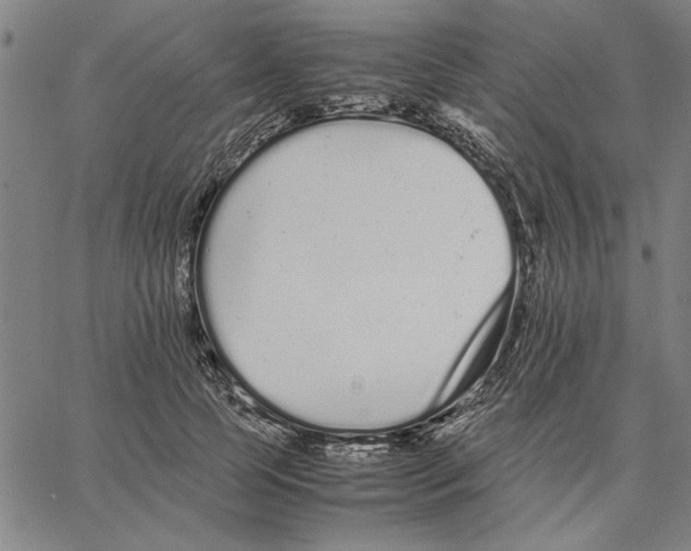 X0000066080745200604071731