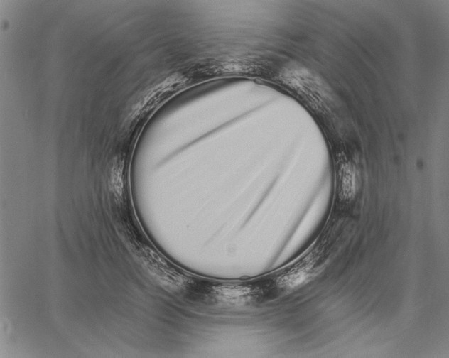 X0000066080746200604071731