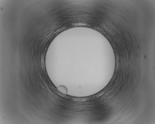 X0000066080747200604071731