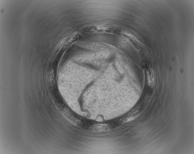 X0000066080748200604071731