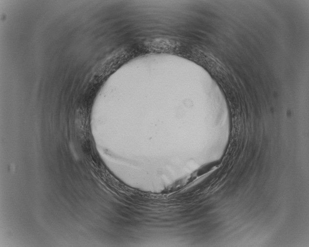 X0000066080749200604071731