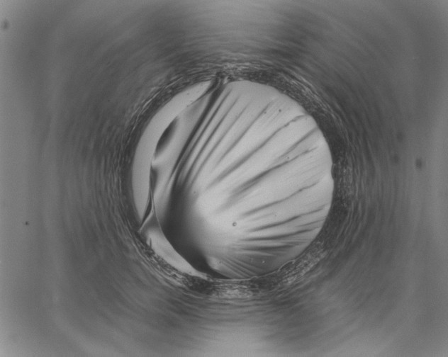 X0000066080750200604071731