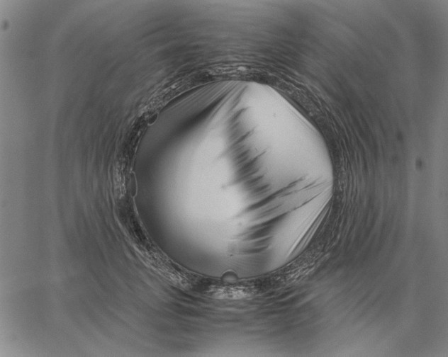 X0000066080751200604071731