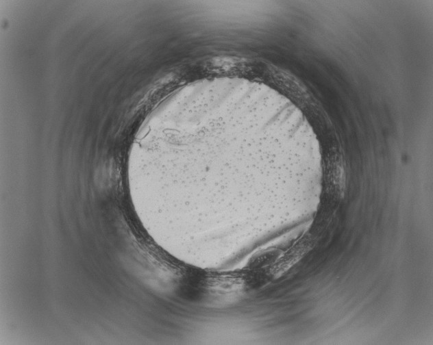 X0000066080754200604071731