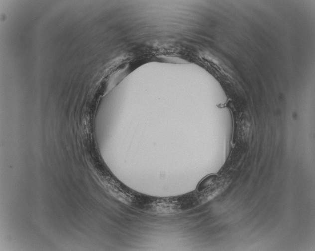 X0000066080756200604071731