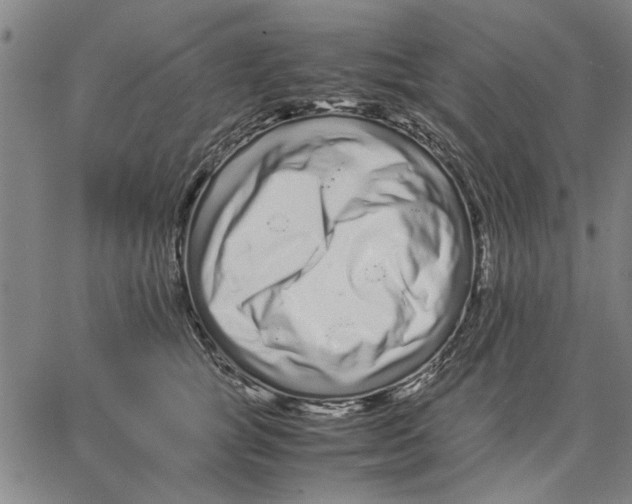 X0000066080757200604071731