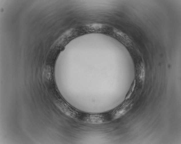 X0000066080758200604071731