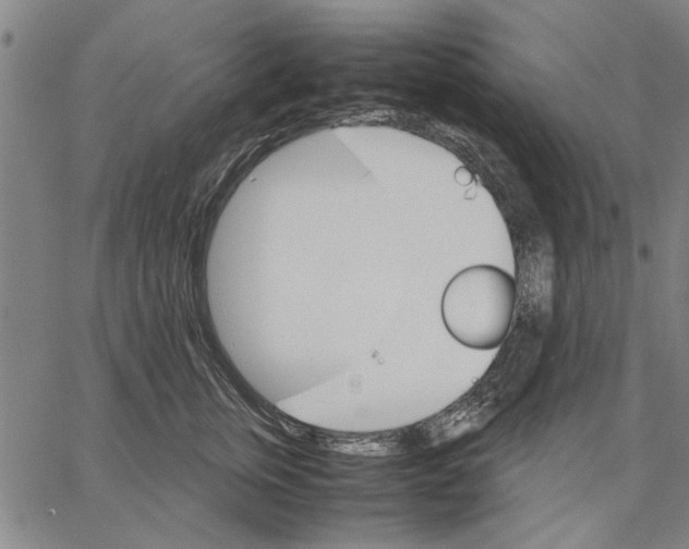 X0000066080759200604071731