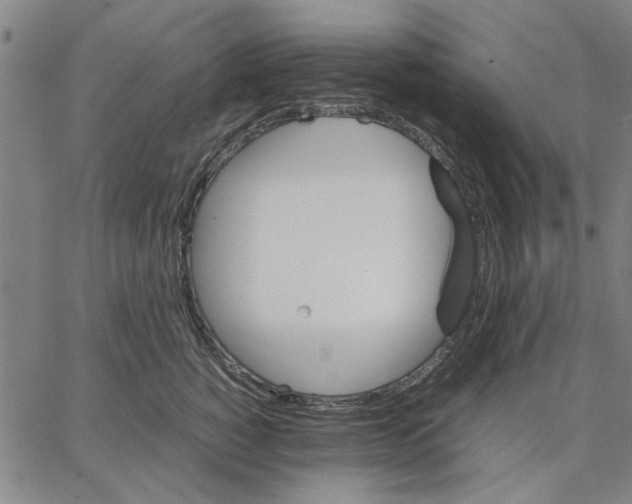 X0000066080760200604071731